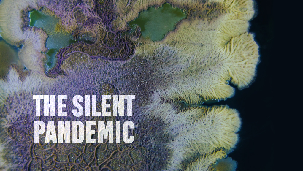 Η Σιωπηλή Πανδημία